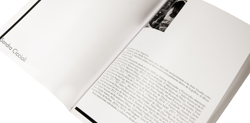 Libro Artistas Visuales Argentinos